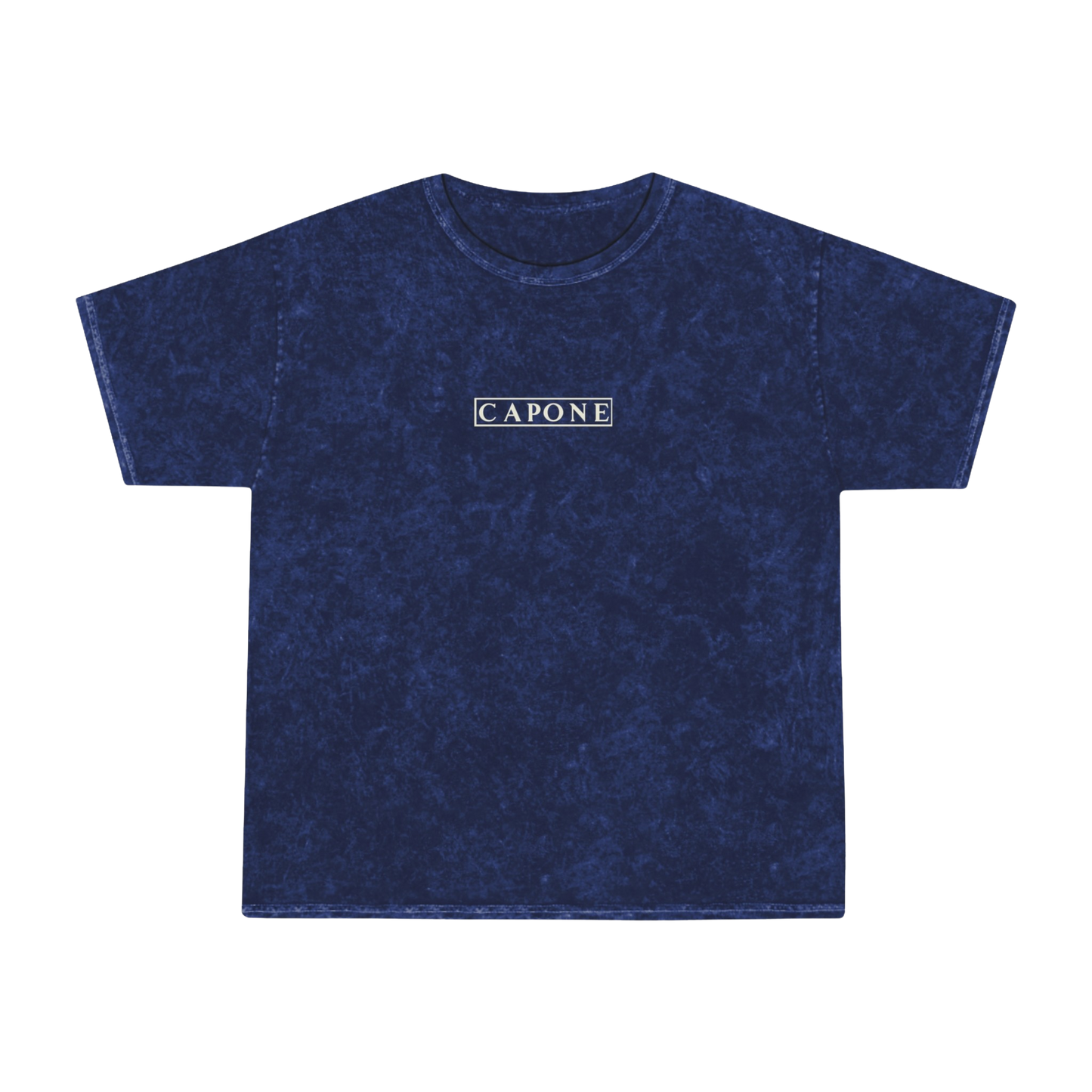 Wash T-Shirt: The Geisha 2
