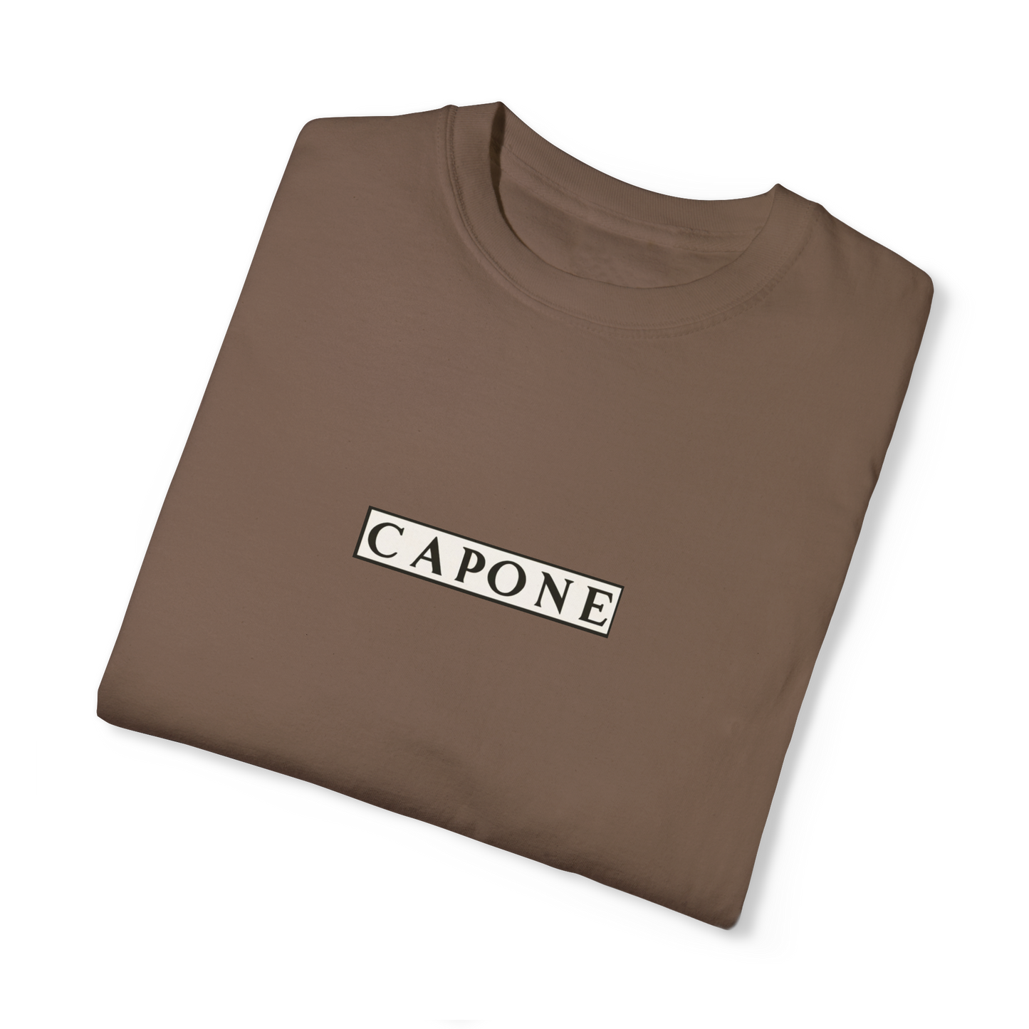 T - Shirt: The Truth 2